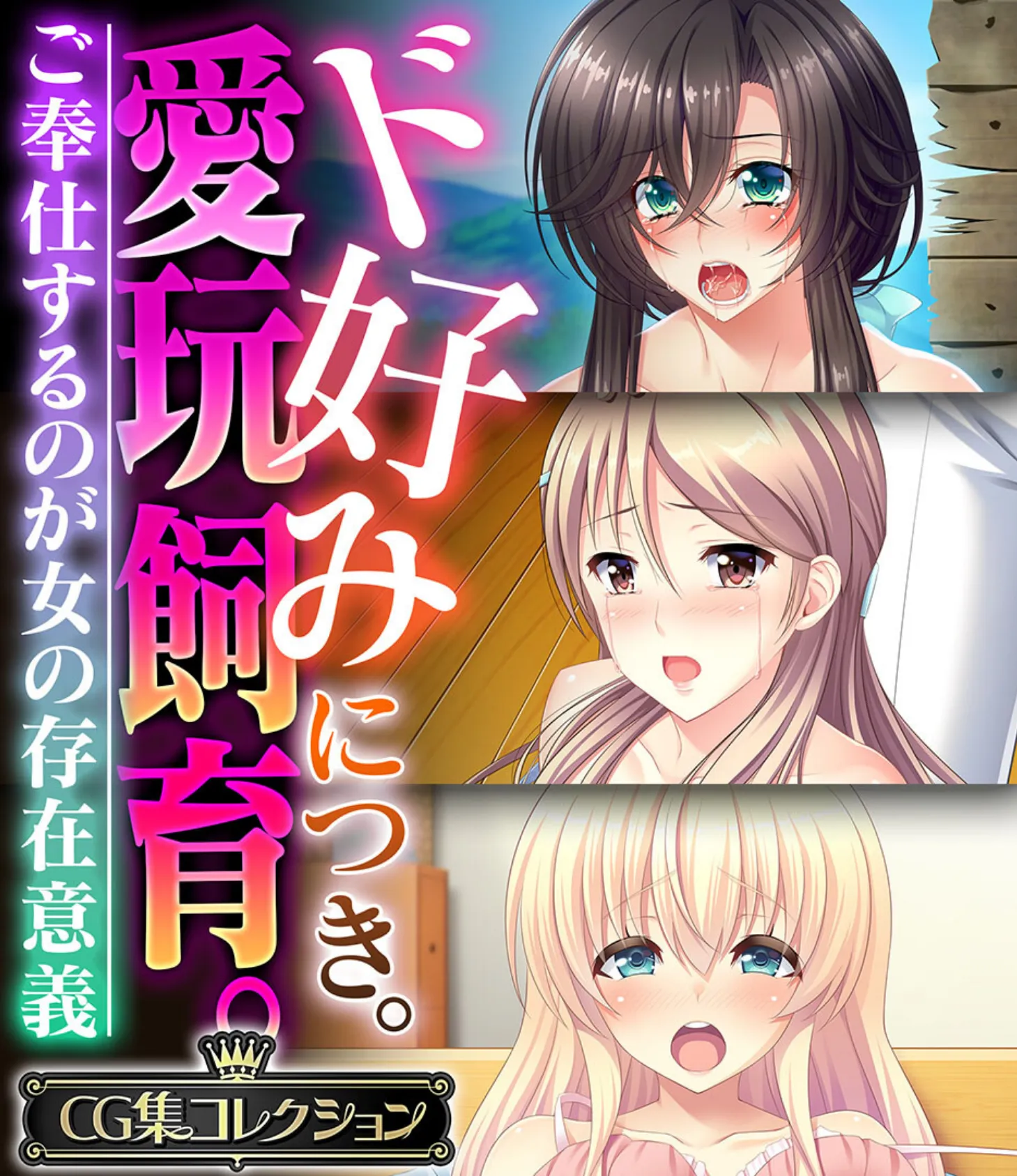 ド好みにつき。愛玩飼育 。 〜ご奉仕するのが女の存在意義〜【CG集コレクション】