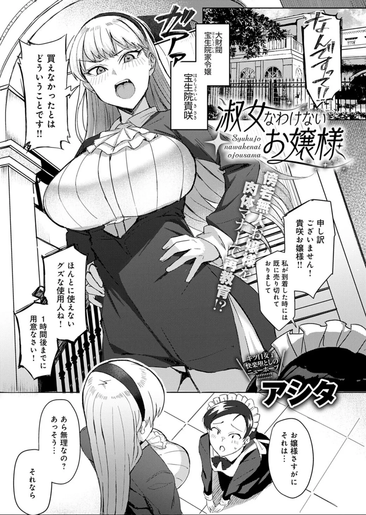 淑女なわけないお嬢様