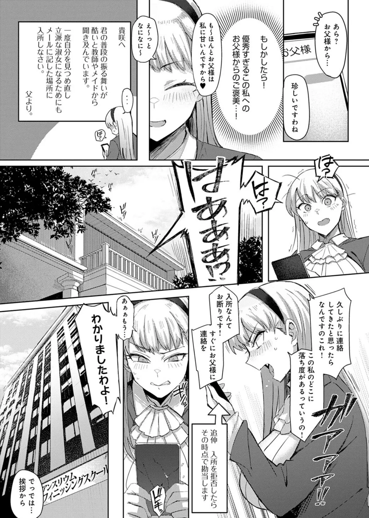 淑女なわけないお嬢様 3ページ